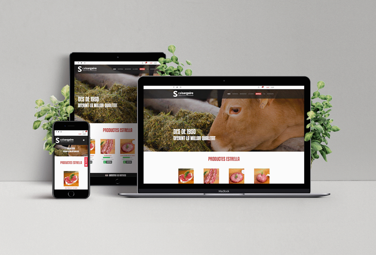 gif-mockup-calsargaire