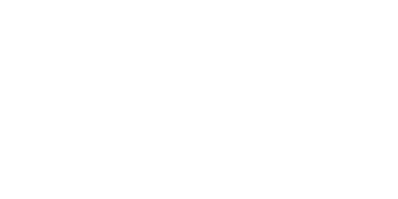 Tassa Customs and Logistics